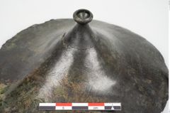 Foto von Bronzephalere (NHMW-PRAE-026056)